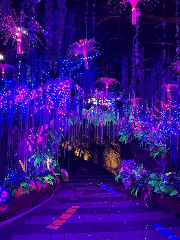 From Seoul: Starfield Library, Hwaseong, Gwangmyeong Cave - Should you book the Starfield, Hwaseong, and Gwangmyeong tour?