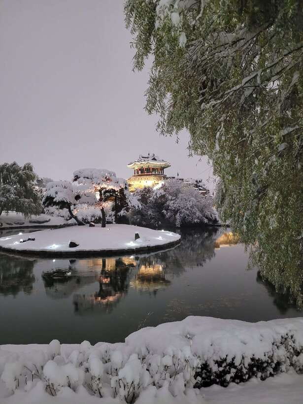 From Seoul: Suwon Hwaseong Fortress Night Tour - Key points to know before booking