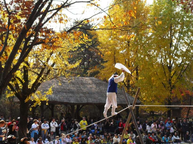 From Seoul: Suwon Hwaseong Fortress Tour - Practical limits and who should skip it