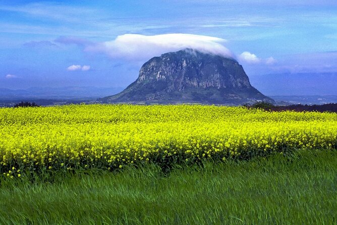 Full Day 12 hours whole Jeju Island private flexible tour - One long day for a very large island