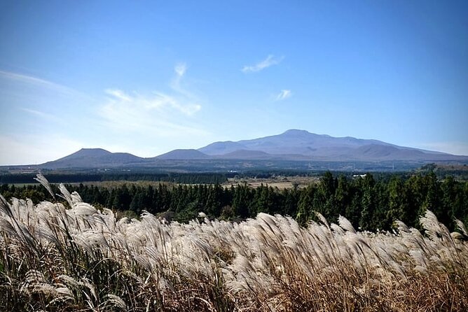 Full Day 12 hours whole Jeju Island private flexible tour - What the 12 hours feel like on the road