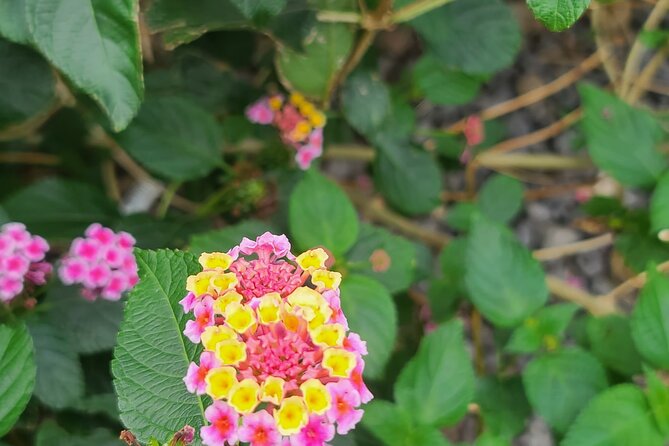 Full Day 12 hours whole Jeju Island private flexible tour - Sunrise, scenery, and heritage in one schedule