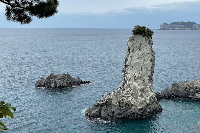 Full Day 12 hours whole Jeju Island private flexible tour - Who gets the most from this private tour