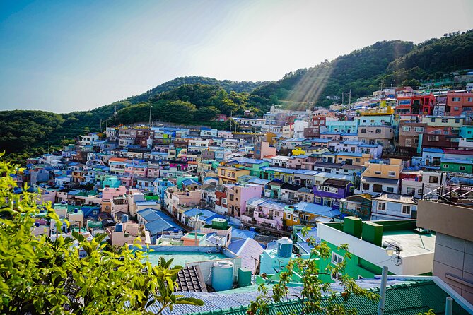 Full Day Busan and Gyeongju Guided Tour - Daereungwon puts Gyeongju’s royal tombs in view