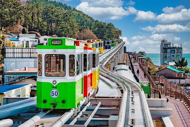 Full-Day Busan Highlights Private Guided Tour - A full day built around Busan’s contrasts
