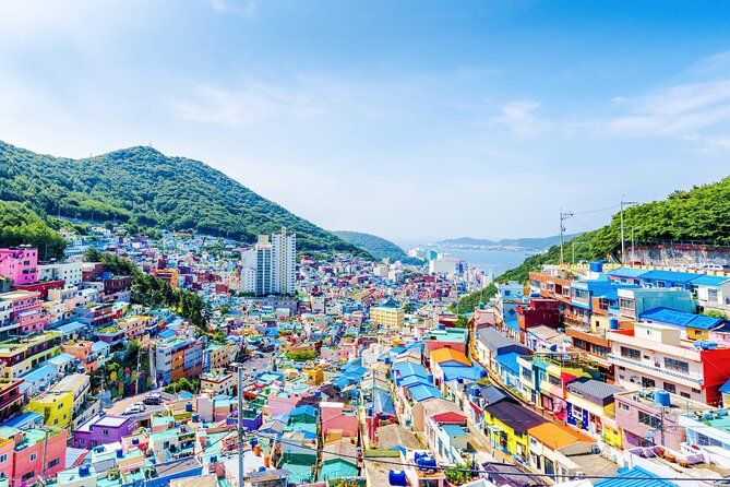Full-Day Busan Highlights Private Guided Tour - Haeundae Blue Line Park: the coast from a moving seat