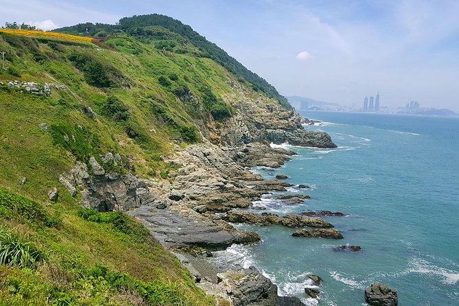 Full Day Busan Tour Including Haedong Yonggungsa Temple - Dalmaji-gil begins the coastal morning