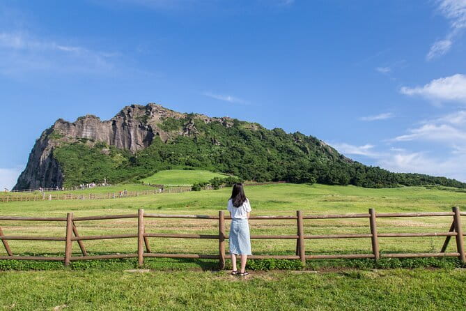 Full-day Customizable Private Jeju Island Tour - A private way to cover Jeju’s spread-out sights