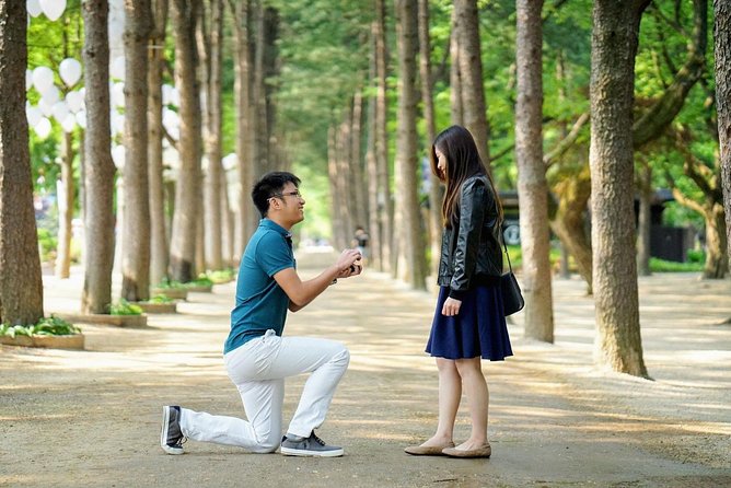 Full-Day Customizable Private Tour to Nami Island and surrounding Area - Key points to know before booking