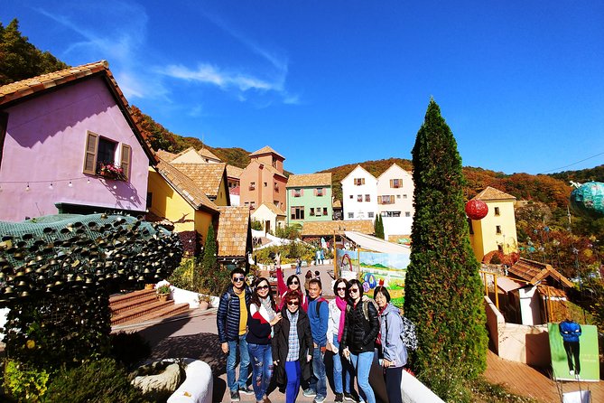 Full-Day Customizable Private Tour to Nami Island and surrounding Area - Why this private format works around Nami Island