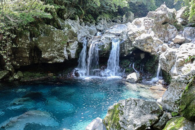 Full Day Essential Jeju Island Private tour for West Course - Why western Jeju works well as a private day