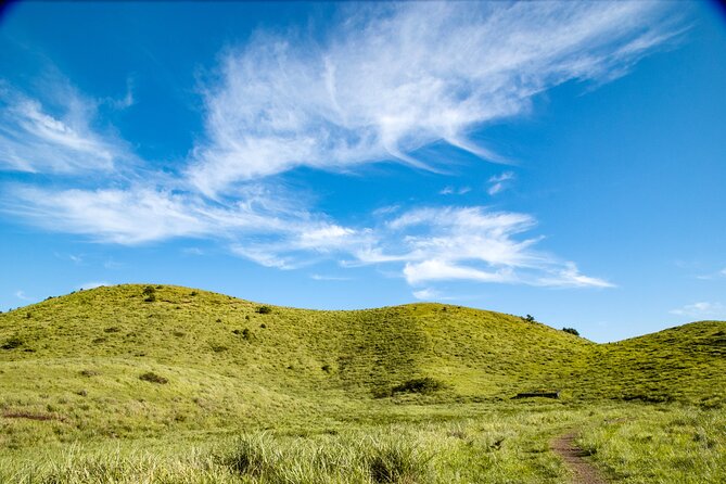 Full Day Essential Jeju Island Private tour for West Course - O’sulloc Tea Museum and the green tea fields