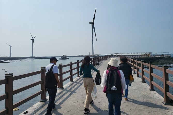 Full Day Jeju Private Customizable highlight Tour - Climbing Seongsan Ilchulbong