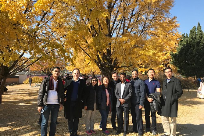 [ Full Day ] Nami Island & Petit France From Seoul - Is $150 a fair price?