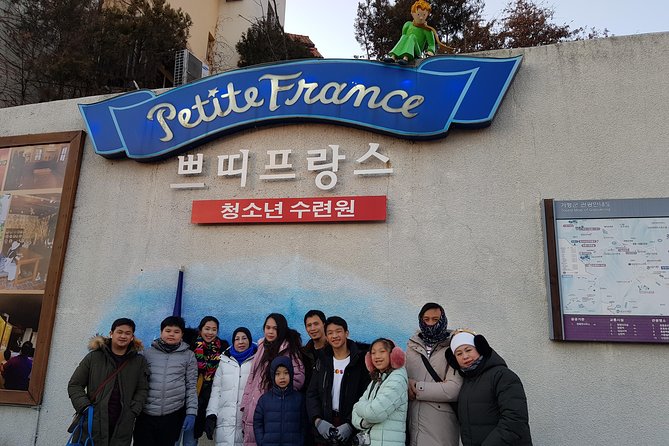 [ Full Day ] Nami Island & Petit France From Seoul - Who should book this day trip?
