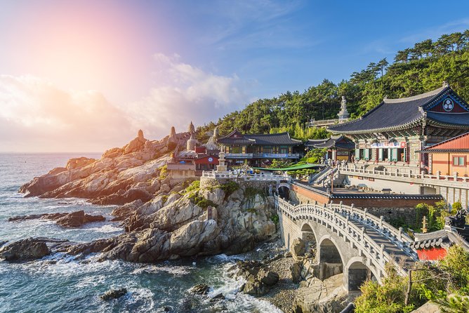 Full Day Private Busan Highlight Tour with Licensed Guide - Why a private vehicle helps in Busan