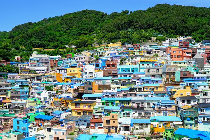 Full Day Private Busan Highlight Tour with Licensed Guide - Shinsegae Centum City and Busan’s modern face