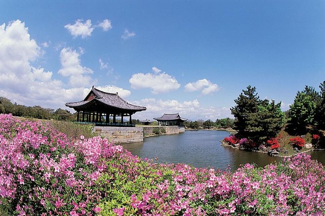 Full day Private Gyeongju UNESCO Heritage Tour : a glimpse into Silla - Gyochon Village and Cheomseongdae