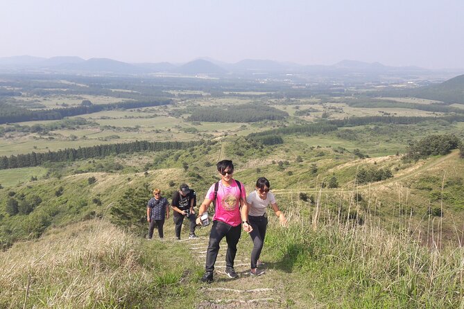 Full-Day Private Taxi Tour South of Jeju Island - Why this south Jeju route works well in one day