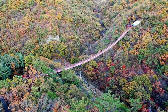 Full Day Private Tour DMZ (The 3rd Tunnel) & Suspension Bridge - What the history leaves out, and what to ask