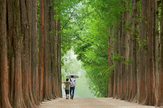 Full Day Private Tour Nami Island, Garden & Petite France - Lunch: convenient, included, and worth clarifying