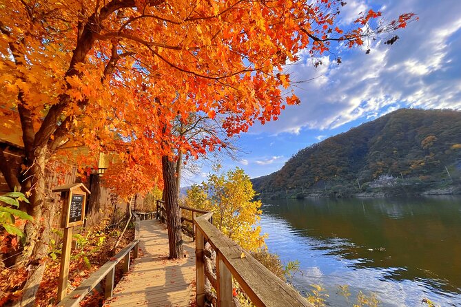 Full Day Private Tour Nami Island, Garden & Petite France - Pinocchio and Da Vinci: the most playful finish