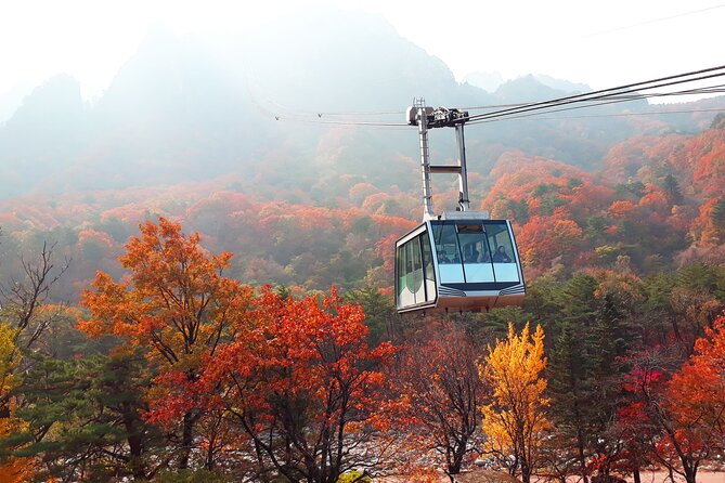 Full-Day Tour in Mt. Seorak & Nami (+Rail Bike Option) - Why combine Seoraksan, Nami Island, and a rail bike?