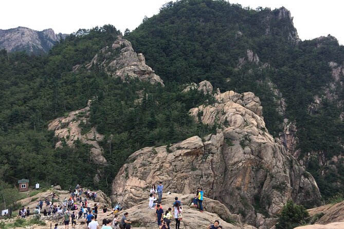 Full-Day Tour in Mt. Seorak & Nami (+Rail Bike Option) - Seoraksan National Park and Shinheungsa Temple