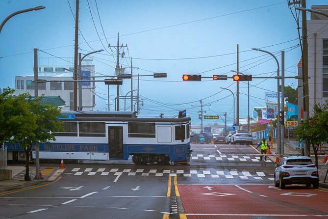 Full-Day Tour Unmissable things to do in Busan - Cheongsapo Daritdol Skywalk and the blue-line coast