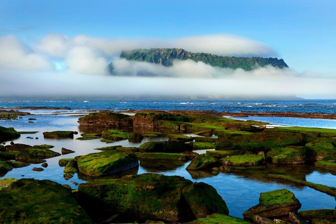 Fully Customizable Private Tour of Jeju Island - Olle trails, tangerine picking, and a slower side of Jeju