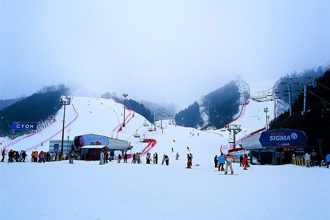Gangchon Elysian Ski Day Trip from Seoul - From Seoul streets to Gangchon snow