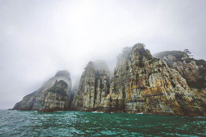 Geoje Oedo Botania Island from Busan - Why Oedo Botania makes this day trip different