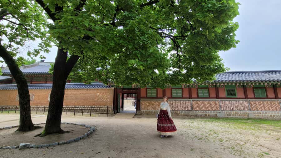 Gyeongbokgung Palace, Jogyesa Temple and Bukchon village - Meeting at Anguk Station Exit 6