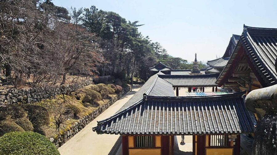 Gyeongju: Private Car Charter Taxi Tour - What the driver does, and what the driver may not do