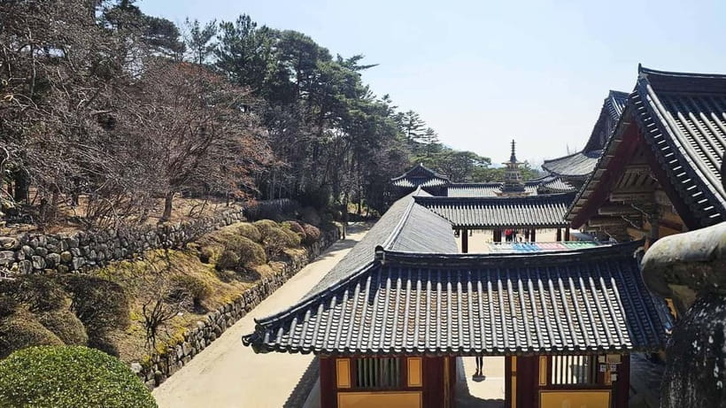 Gyeongju: Private Car Charter Taxi Tour - Dining and flexible changes during the day