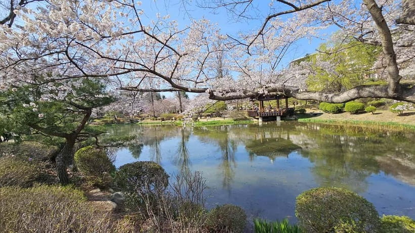 Gyeongju: Private Car Charter Taxi Tour - Safety, insurance, and practical limits