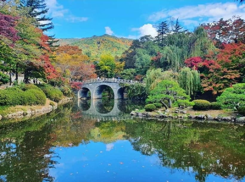 Gyeongju: Private Car Tour with a Licensed Tour Guide - Why a private car makes Gyeongju easier