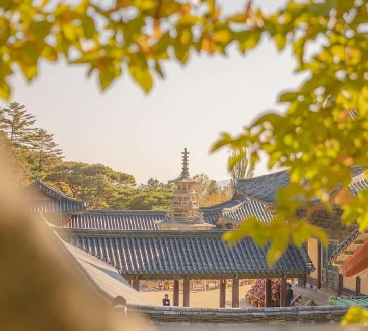 Gyeongju: Private Car Tour with a Licensed Tour Guide - Seokguram Grotto, a short visit with a powerful payoff