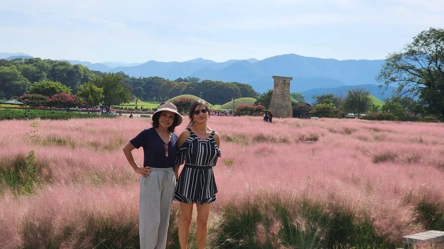 Gyeongju: Private Car Tour with a Licensed Tour Guide - Daereungwon Tomb Complex and the royal Silla dead