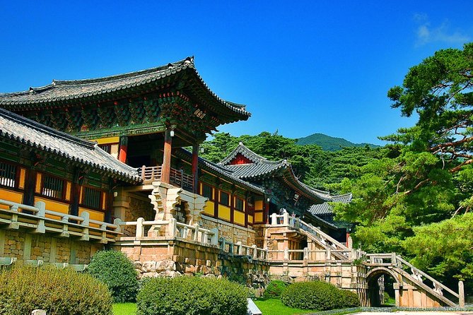 Gyeongju Private Tour with hidden gem by local tour guide - Key points to know before booking