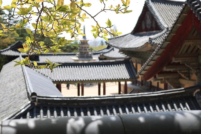 Gyeongju The UNESCO World heritage sites tour(Private tour) - Key points at a glance