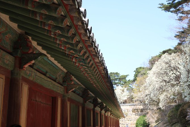 Gyeongju The UNESCO World heritage sites tour(Private tour) - Cheomseongdae and ancient astronomy