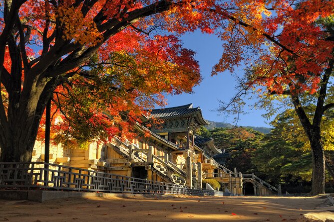 Gyeongju UNESCO sites Private tour with licensed tour guide - Cheomseongdae and the science of ancient Silla