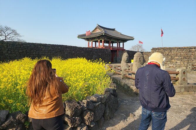 Half or Day Tour For Cruise customers arriving at Gangjeong Port - What this Gangjeong Port shore excursion is really like