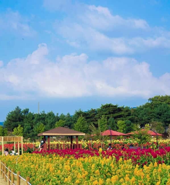 Hantan Canyon & Goseokjeong Flower Garden & Pink Muhly Park - Key points at a glance
