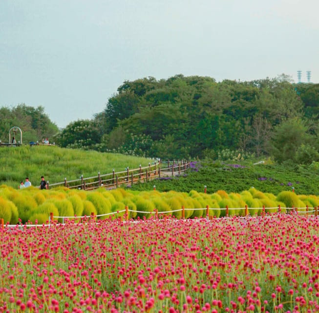 Hantan Canyon & Goseokjeong Flower Garden & Pink Muhly Park - The canyon walk is scenic, but not effortless