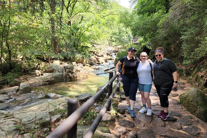 Hike at Mt. Bukhansan National Park with professional Guide(including Lunch) - What the guide adds to the day