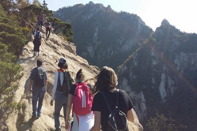 Hike at Mt. Bukhansan National Park with professional Guide(including Lunch) - The first hour follows a clear mountain valley