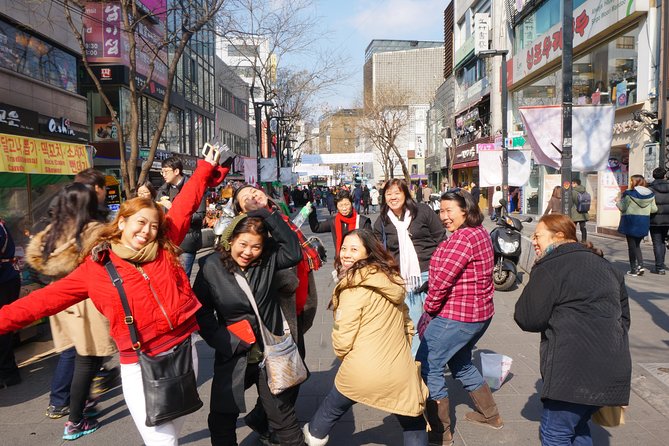 History and Culture Tour(Premium Private Tour) - A private way to get your Seoul bearings