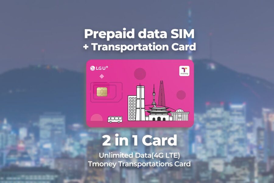 Incheon Airport: Traveler SIM & T-money Transportation Card - Why online access matters from your first hour in Korea